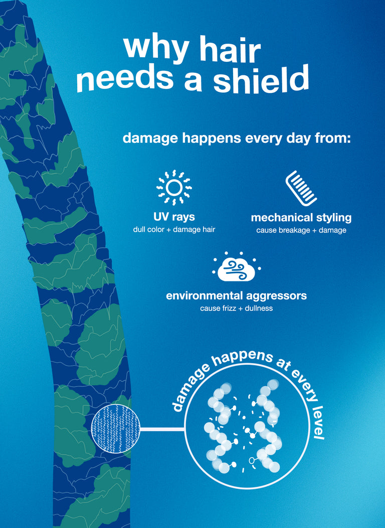 image-of-hair-strand-graphic-why-hair-needs-a-shield-damage-happens-every-day-from-uv-rays-mechanical-styling-environmental-aggressors-damage-happens-at-every-level